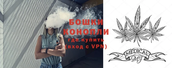 трава Ельня