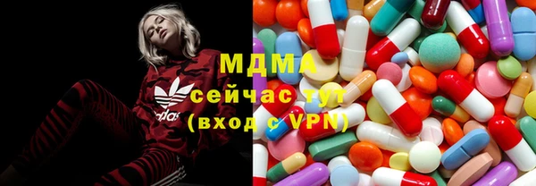 трава Ельня