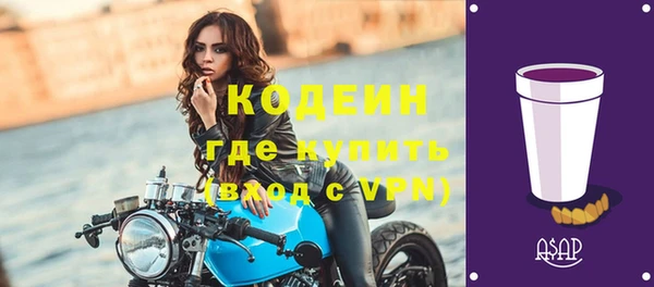 трава Ельня