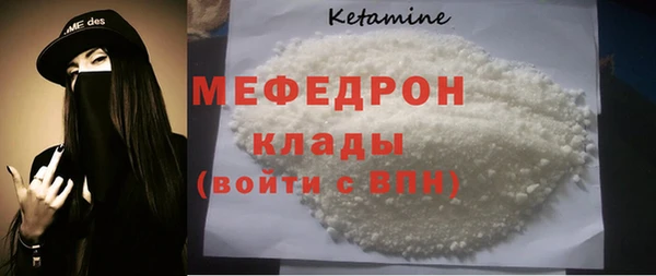 трава Ельня