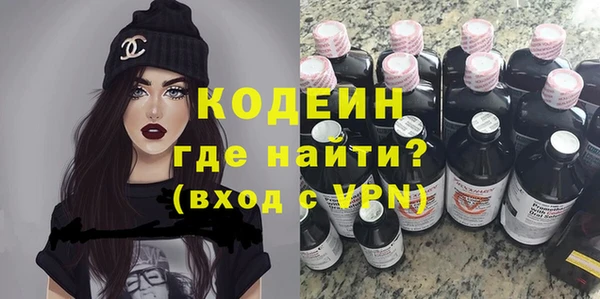 трава Ельня