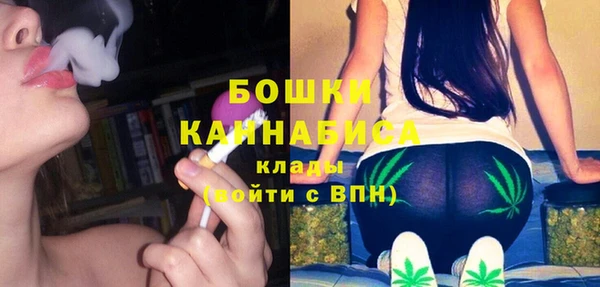 трава Ельня