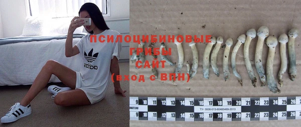 трава Ельня