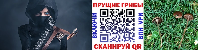 наркотики  Спас-Клепики  Галлюциногенные грибы ЛСД 